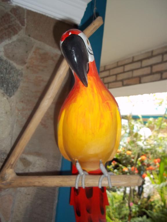 Pousada Riacho Doce Caraguatatuba Rom bilde